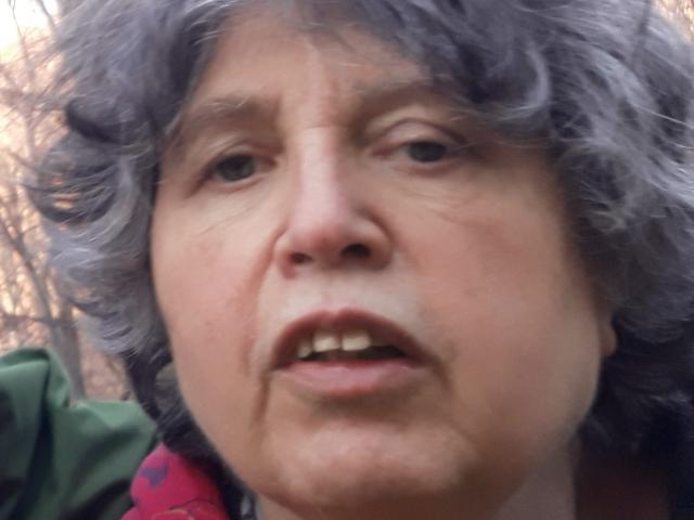 vajda_julia.jpg